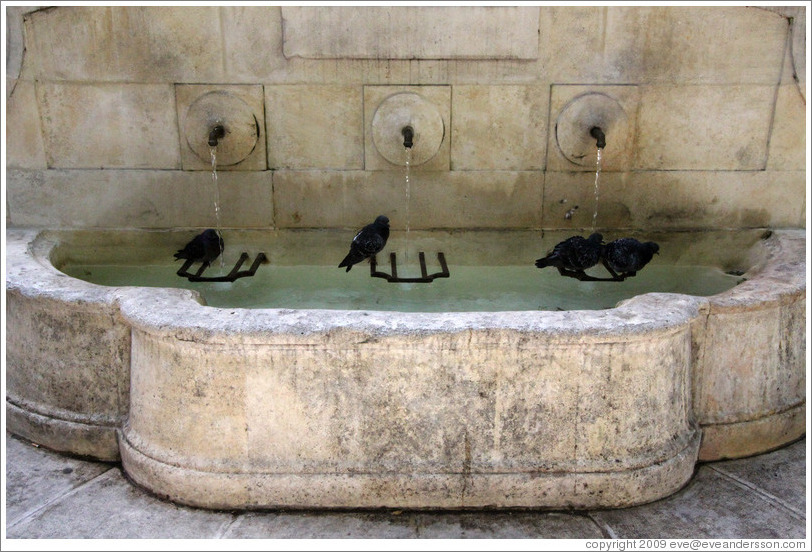 Fountain with four pigeons.  Boulevard Aristide Briand.  Old town.