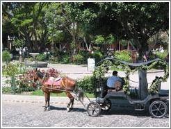 Antigua, Guatemala.  Horse and Carriage in front of Parque Central.