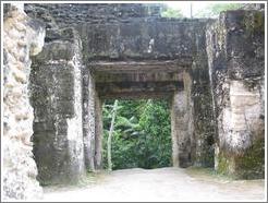 Tikal.  Doorway within Grupo G.
