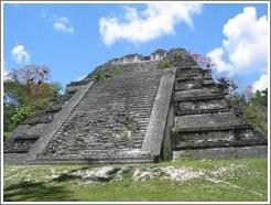 Tikal.  One of the smaller temples at Mundo Perdido.