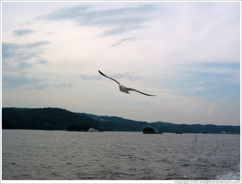 Islands off coast of Matsushima.