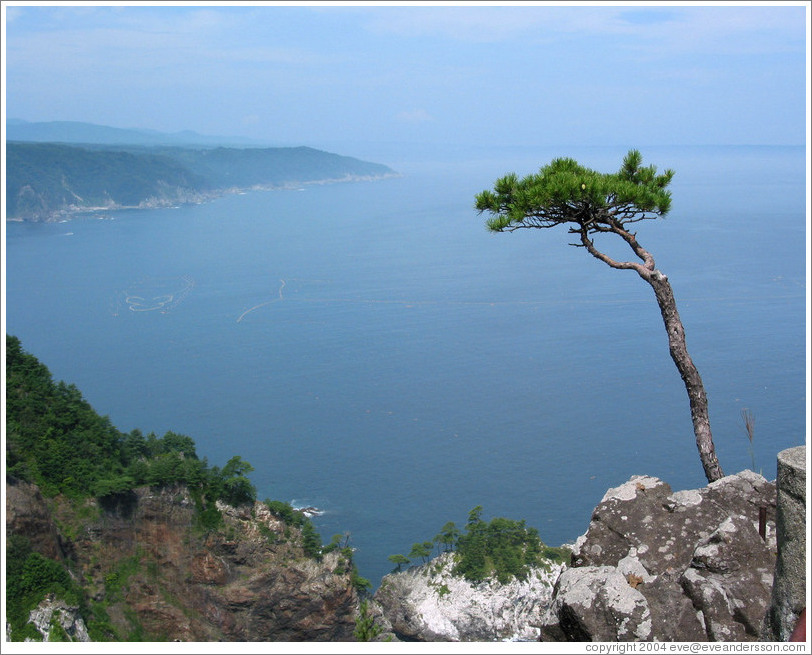 East coast of Honshu at Rikuchu Kaigan National Park.