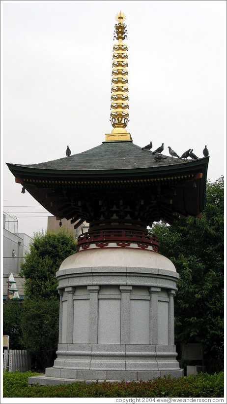 Senso-ji Temple.  Pigeons.