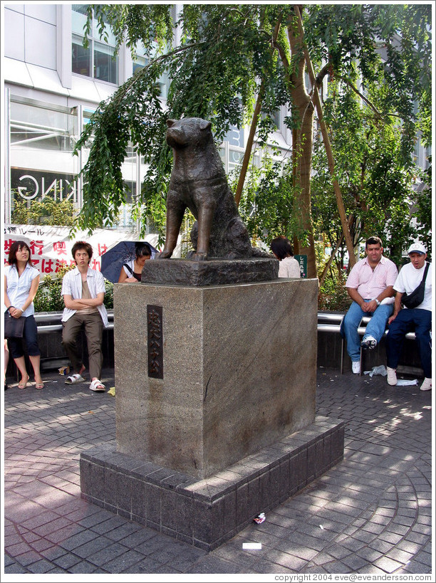 Hachiko.  Shibuya neighborhood.