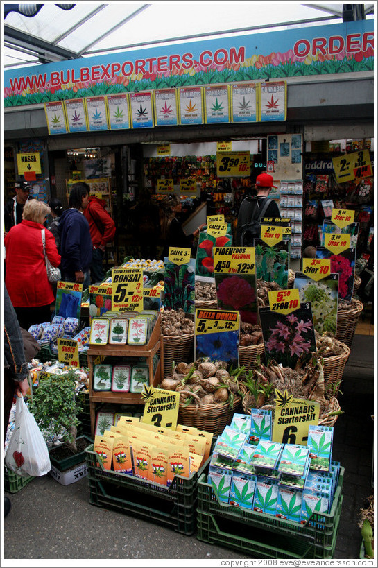 Cannabis seeds and other plants, Bloemenmarkt (Flower Market), Centrum district.