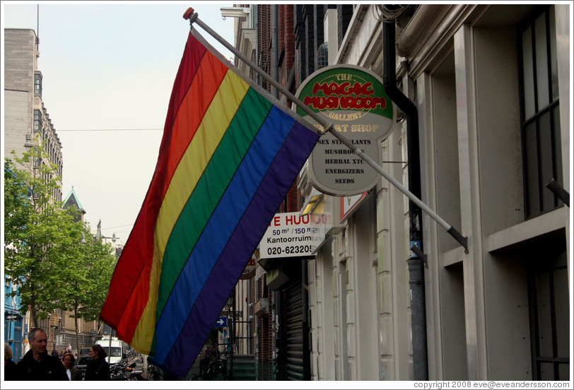 Rainbow flag and magic mushroom sign on Spuistraat, Centrum district.