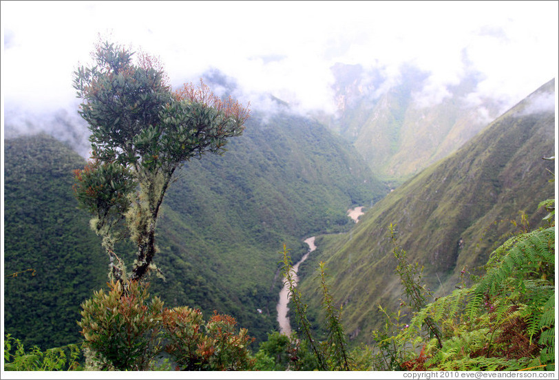 Urubamba River, seen from the Inca Trail.