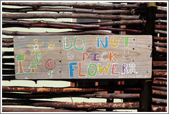 Do Not Pick Flowers sign, Dawes Street, Bo-Kaap.