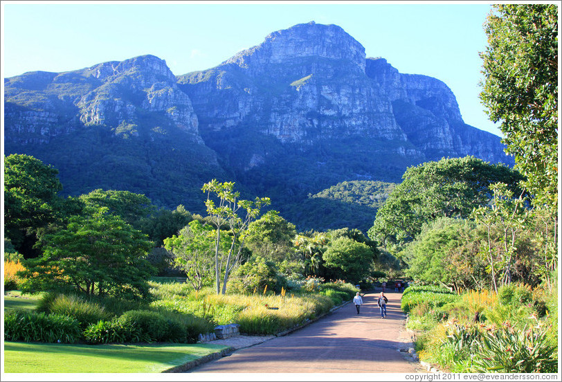 Kirstenbosch Botanical Garden.