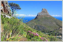 Lion's Head, viewed from Table Mountain.