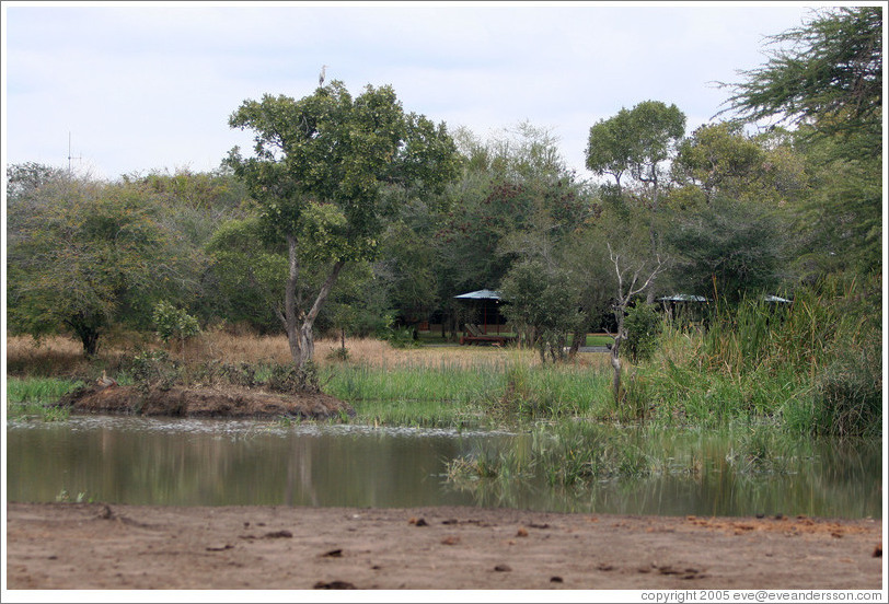 Watering hole at Tanda Tula lodge.