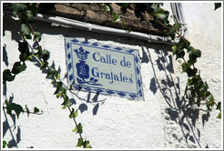 Calle de Grajales street sign, containing pomegranate image, Albaic?