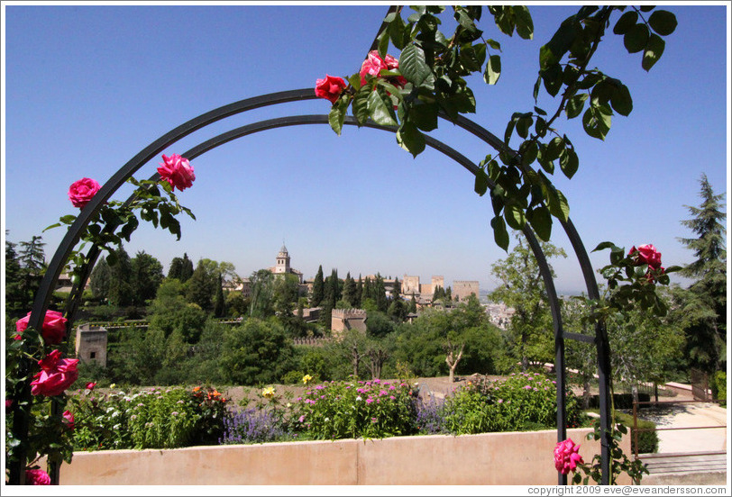 Roses and view of the Alhambra from Generalife.