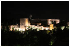 View of the Alhambra from Mirador de San Nicol?(10:26pm).
