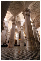 Columns of the Granada Cathedral.