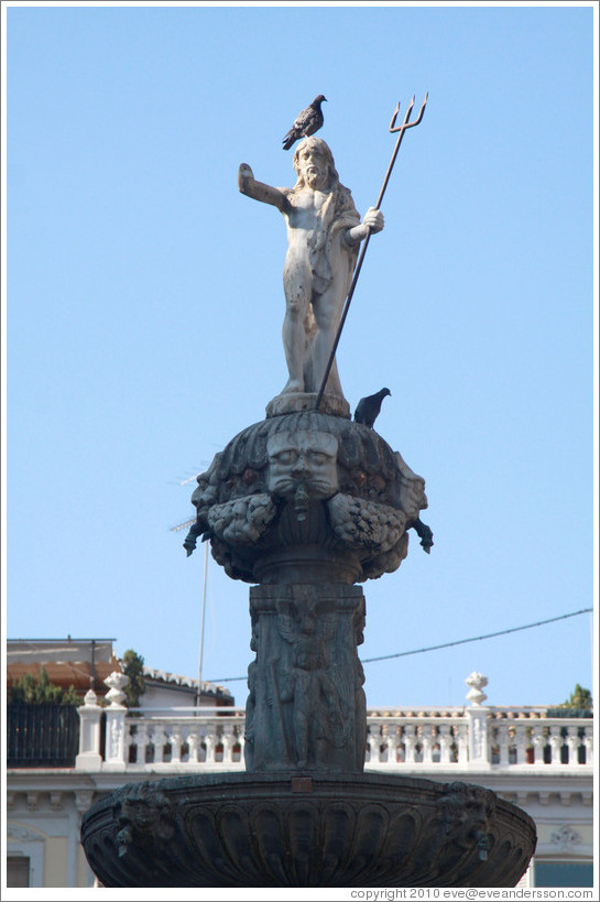 Neptune with a pigeon on his head. Fuente de los Gigantes (Fountain of the Giants). Plaza de Bib-Rambla, city center.