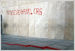 Graffiti promoting a vegan web site, vivevegano.org. Plaza de San Agust? city center.