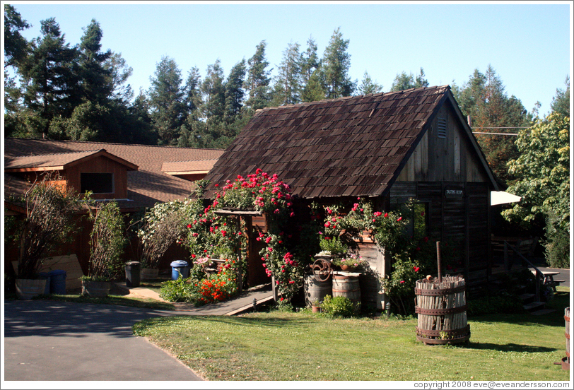 Tasting room.  Husch Vineyards.