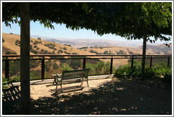 Bench and view.  Calera Wine Company.