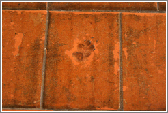 Animal footprint in floor tile of church (tiles were dried outside).  San Juan Bautista Mission.