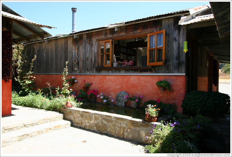 Tasting room patio.  Alma Rosa Winery and Vineyards.