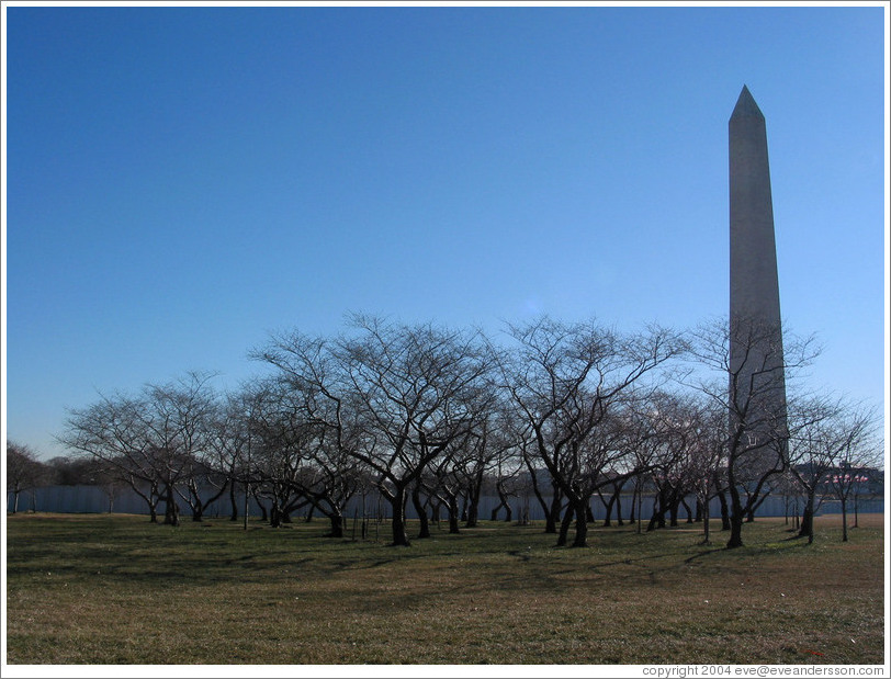 Washington Monument.