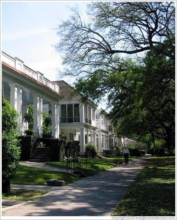 Garden district.  Homes along Audubon Park.