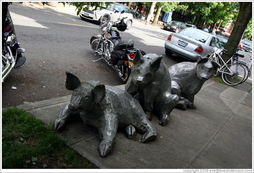 Pigs in front of Nob Hill Bar and Grill.  23rd Ave. near Lovejoy St. Alphabet District.