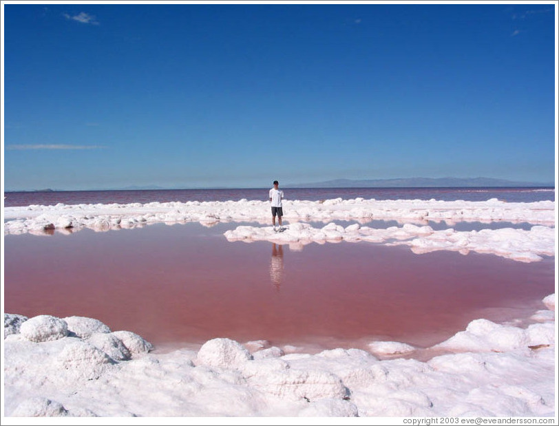 Jesse at center of Spiral Jetty.