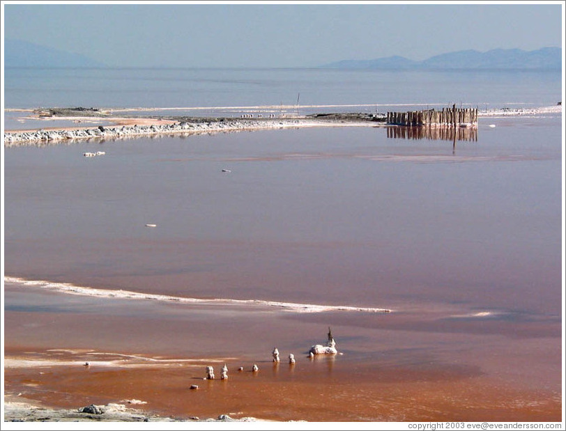 Posts and salt crystals near the Spiral Jetty.