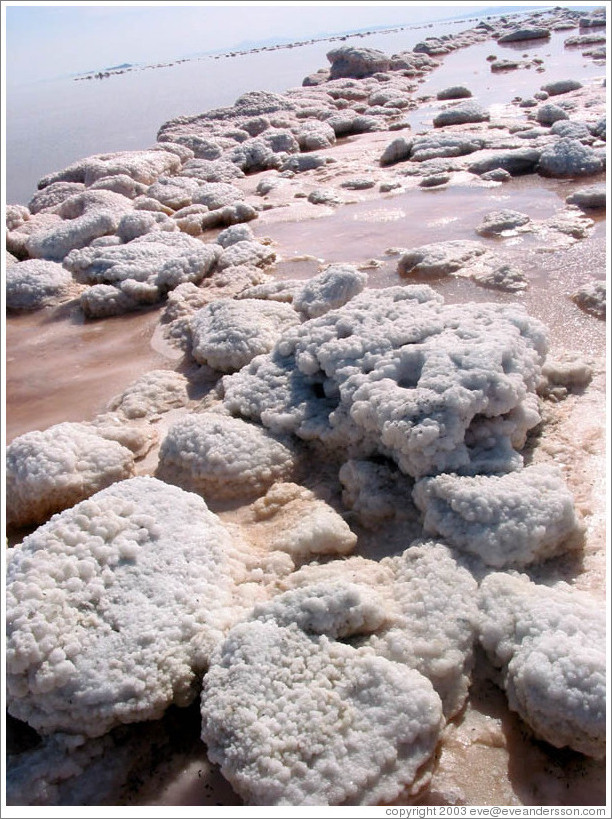 Pink water with white salt crystals, near the Spiral Jetty.