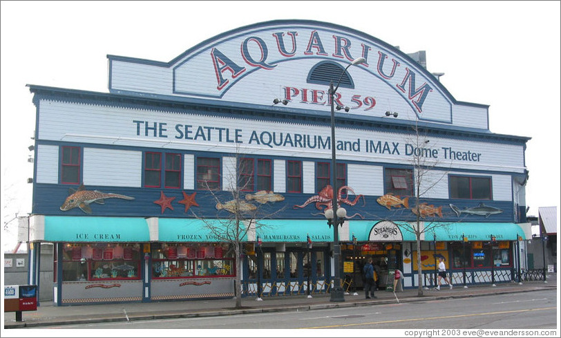 Seattle Aquarium.