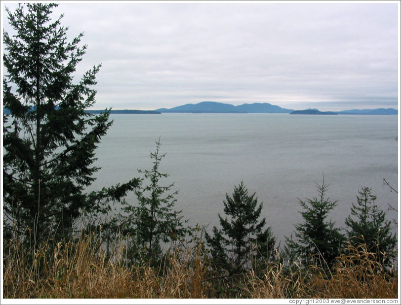 Chuckanut Drive, just south of Bellingham.