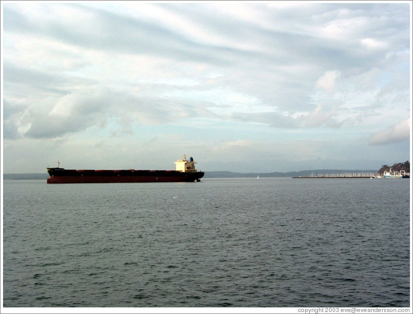 Boat in harbor.